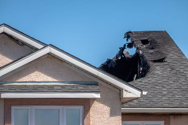 Licensed Content Restoration service in Clifton, NJ - Fire Damage Biloxi